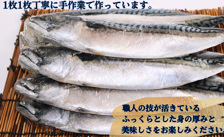 サバ文化干し 14枚 サバ