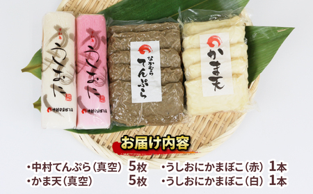 じゃこ天 真空 セット 中村かまぼこ店 かまぼこ C010-013006