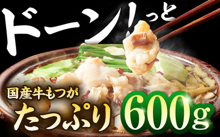 もつ鍋 あごだし醤油味（5-6人前）もつ鍋 ADAN018