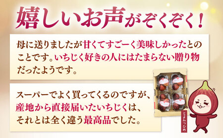 【先行受付】いちじく とよみつひめ 秀品 1.2kg [ADAY001] いちじく