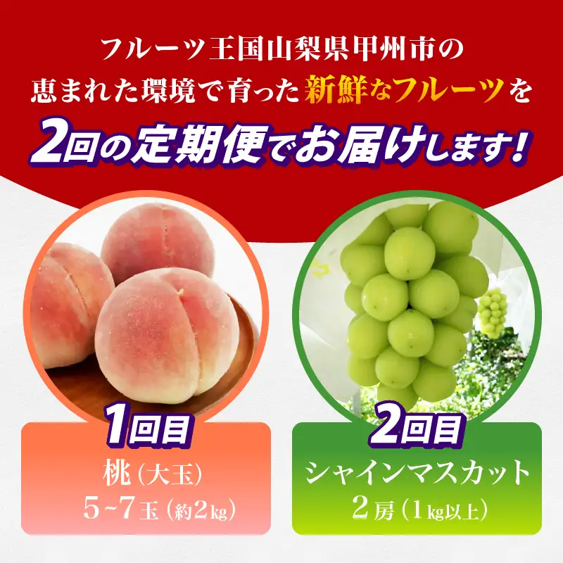 【定期便】甲州の名産品が詰まった厳選フルーツ2回定期便 桃・シャインマスカット【2026年発送】（IS）C-465  桃 シャインマスカット フルーツ
