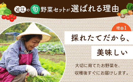 季節の旬野菜セット 産地直送 あいとうマーガレットステーション 滋賀県 東近江市 A51 野菜 詰め合わせ セット 産直 新鮮旬野菜 旬の野菜 お取り寄せ グルメ