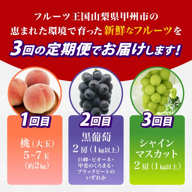 【定期便】甲州の名産品が詰まった厳選フルーツ3回定期便 桃・黒葡萄・シャインマスカット【2026年発送】（IS）D-465 桃 黒ぶどう シャインマスカット フルーツ
