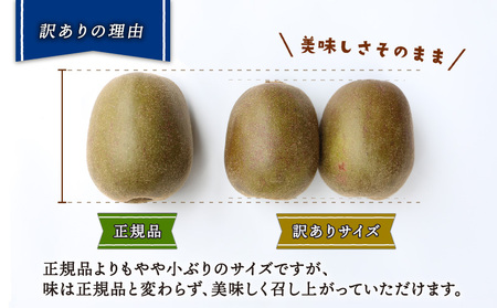 訳あり キウイ 紅妃 レッドキウイ 2kg Shirai.agrifarm F010-115002