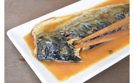 骨までやわらか 銚子近海産 さばのみそ煮 1枚入り×10袋 さばの味噌煮 煮物 煮付け