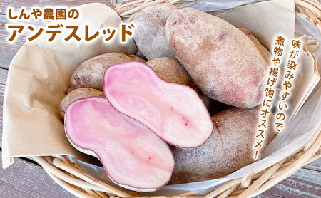 【令和8年産】かみふらのじゃがいも「キタアカリ5kg & アンデスレッド5kg」 野菜 旬の野菜 北海道産 北海道野菜 国産 国産野菜 グルメ 食材 ポテト 北海道産じゃがいも 