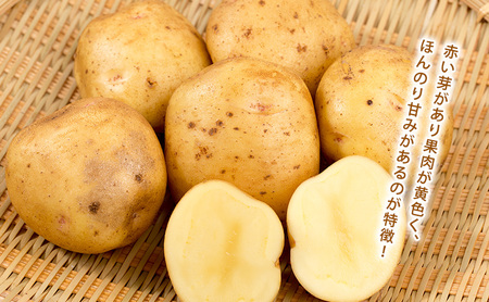 【令和8年産】かみふらのじゃがいも「男爵5kg & キタアカリ5kg」 野菜 旬の野菜 北海道産 北海道野菜 国産 国産野菜 グルメ 食材 ポテト 北海道産じゃがいも 