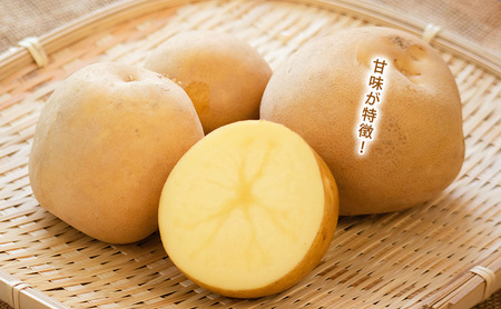 【令和8年産】しんや農園のじゃがいも「とうや5kg & 男爵5kg」 計10kg 野菜 旬の野菜 北海道産 北海道野菜 国産 国産野菜 グルメ 食材 ポテト 北海道産じゃがいも 食べ比べ 煮崩れしにくい ホクホク【北海道上富良野町産】