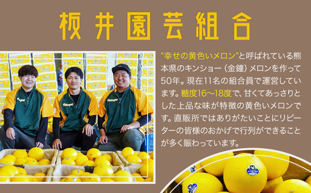 キンショーメロン 4kg(6～9玉) メロン《2026年4月上旬-7月上旬頃出荷》熊本県 菊池市 果物 フルーツ 金鐘 ノーネットメロン 黄色いメロン 菊池市産 熊本県産 九州産 送料無料