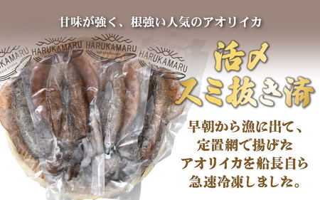 【先行予約】イカ お刺身で食べる 天然 アオリイカ 約1kg【2026年11月上旬以降順次発送予定】 [m36-b008]