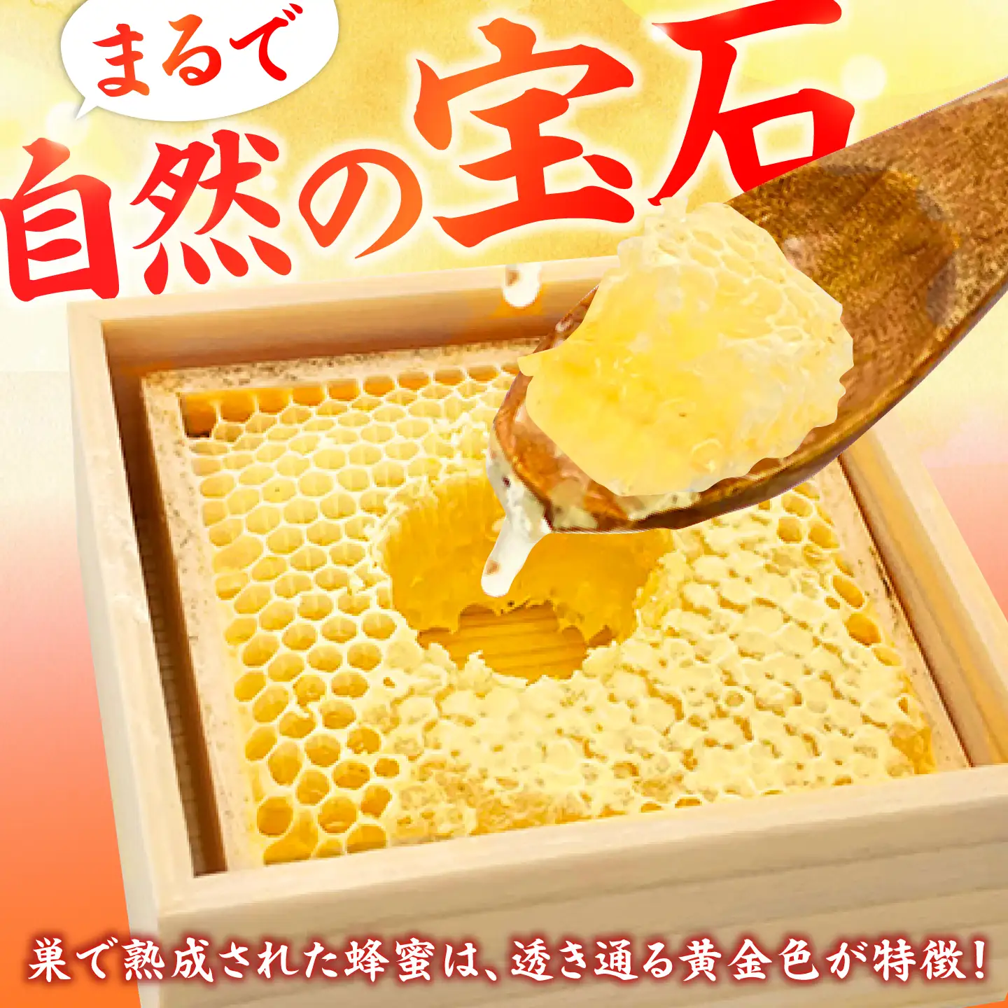 【訳あり】国産巣みつ 300g未満 / はちみつ [AFAI039]