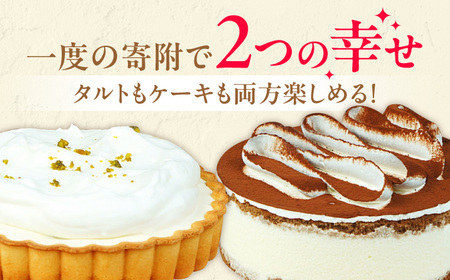 ケーキ・タルト セット （レアチーズタルト ティラミス） / ケーキ[AFAK251]