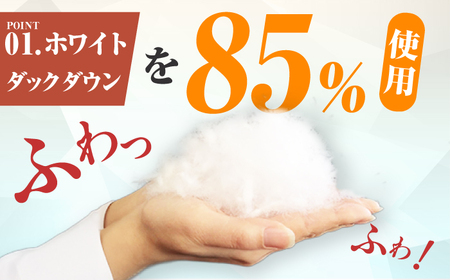 【真冬用】ダブル掛け布団 羽毛1.4kg 色柄お任せ / 布団 寝具 ふとん [AFAO010]
