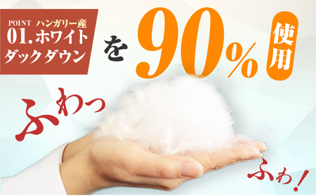 【春秋用】シングル掛け布団 羽毛0.7kg アイボリー ハンガリー産 / 布団 寝具 ふとん [AFAO014]