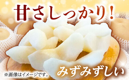 【8月上旬発送開始】 食べ頃品種を2種以上お届け! 梨 食べ比べセット 約5kg （5玉-18玉） / 梨 [AFAR027]