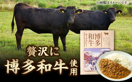 博多和牛キーマカレー 5食セット / キーマカレー[AFBH001]