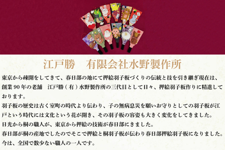 CT001-1　干支押絵羽子板　たつ（６寸）