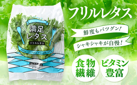 定期便 ≪2ヶ月連続お届け≫ 低カリウムレタス&フリルレタス　計6個セット 全2回 【福井県美浜町産】【野菜 生野菜 レタス サラダ サンドイッチ お弁当 水耕栽培 洗わず食べられる 時短 付け合わせ ダイエット ヘルシー】レタス フリルレタス 野菜 サラダ ダイエット ヘルシー [m40-a007]