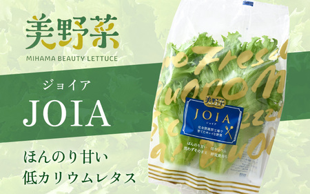 低カリウムレタス 美野菜 「JOIA」 10袋 クリーンルーム栽培 無農薬 鮮度長持ち 【野菜 生野菜 レタス サラダ お弁当 水耕栽培 洗わず食べられる 時短 付け合わせ】レタス フリルレタス 野菜 サラダ ダイエット ヘルシー  [m40-a010]