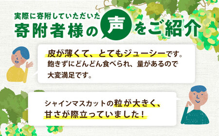 【★先行予約★ 2026年8月下旬より発送】シャインマスカット 約1.4kg / シャインマスカット しゃいんますかっと[AFAB007]