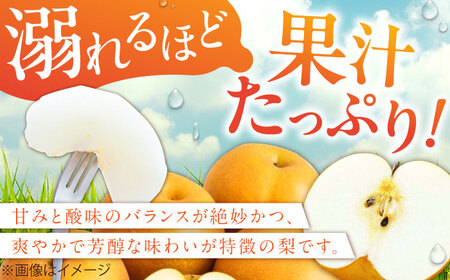 【★先行予約 8月下旬より発送】梨（豊水） 約5kg / ほうすい 梨[AFAB023]