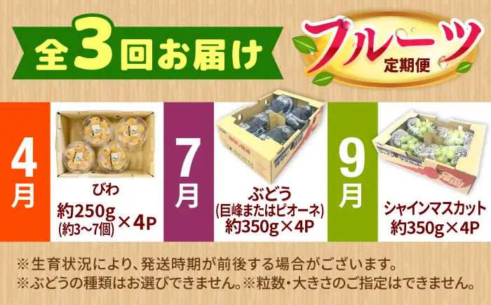 【★先行予約★ 2027年4月発送開始】【3回定期便】フルーツ定期便（びわ/ぶどう/シャインマスカット） / ビワ ブドウ マスカット[AFAB025]