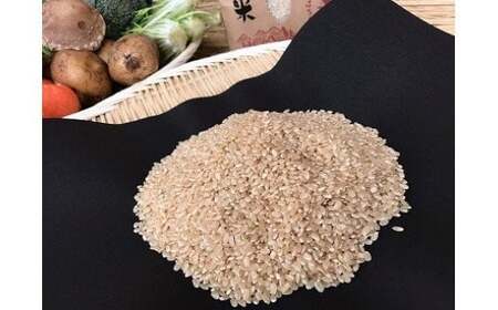 【12ヶ月定期便】自然栽培野菜10～12品目（3・4月は玄米5kg）野菜 米 玄米 詰合せ
