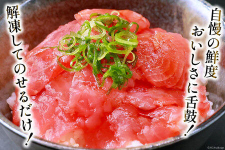 マグロ 鉄火丼 小分け 40g×6食×3袋 計18食分 計720g  [TS-フーズプロダクツ 静岡県 吉田町 22424235]