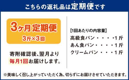 AU-20 【3ヵ月定期便】 3種の食パンセット 3斤×3回  食パン パン