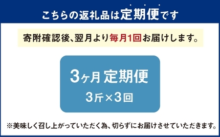 AU-14 3ヵ月定期便　高級食パン 3斤×3回  食パン パン
