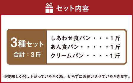 AU-11 パンの店イシバシ 大人気の食パン3種セット 3斤 食パン パン