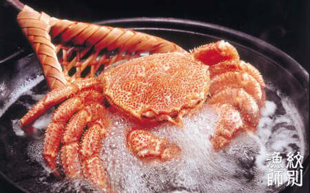 46-3 【北海道産】海明け毛がに姿 2尾計約1.0kg【期間限定5月18日まで受付予定】(冷蔵便)