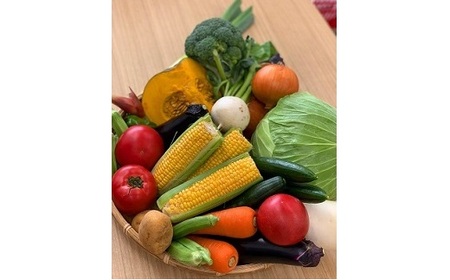 川崎市市内産新鮮野菜・農産物詰め合わせ