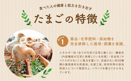 【食べチョクアワード2025 畜産部門 1位の日本一のたまご】単なる平飼いではない究極の卵『わたしたちのぷらいどたまご』3パック（30個）セット