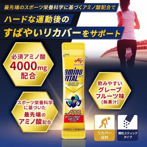 【２カ月に１回/計6回の定期便】味の素（株）　アミノバイタル（R)GOLD　60本入り