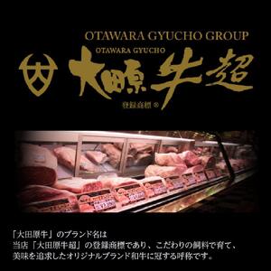 大田原牛 白味噌漬け 上撰（400g入） | ブランド牛 和牛 牛肉  高級