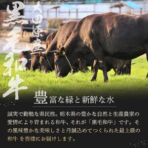 大田原産 黒毛和牛 サーロイン ステーキ　約300g×3枚