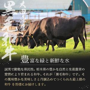 大田原産 黒毛和牛 モモ 熟成肉　約700g～1kg