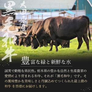 ソースのいらない究極の大田原産黒毛和牛 ハンバーグ | 黒毛和牛 熟成 高級 和牛 ハンバーグ