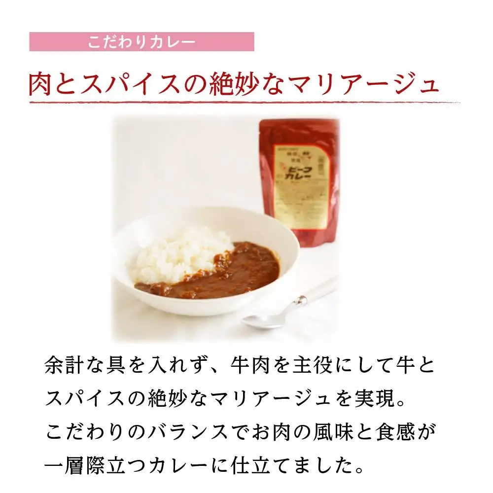 【大田原 前田牧場 ビーフカレー 200g×10袋 】ルゥがとろりと濃厚な高級カレー | ブランド牛 牛肉 カレーライス レトルト カレーカレーカレーカレー