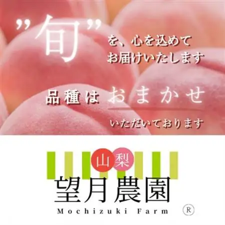 【2026年発送】柔らかめの品種の桃・2K(5~6個)「龍の木の実 望月のもも」【配送不可地域：離島・沖縄県】【1489722】