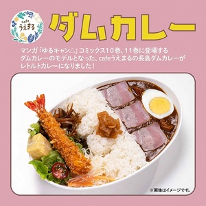 25-3 ダムカレー（レトルトパウチ食品）