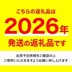 ＜先行予約！2026年5月上旬以降順次発送予定＞ 香川県産 厳選大玉生にんにく(約5kg) 国産 ニンニク ガーリック 薬味 野菜 【man069】【Aglio nero】