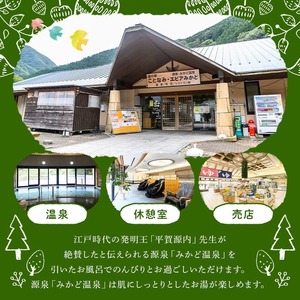 エピアみかど温泉入浴券(10枚) 香川県 利用券 チケット 体験 美肌の湯 【man165】【ことなみ振興公社】