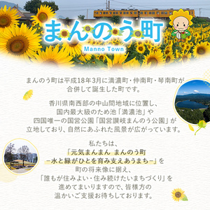 ＜返礼品なし＞ 香川県まんのう町への寄附 (100,000円) 香川県 まんのう町 応援 寄附 返礼品なし【man904】【まんのう町】