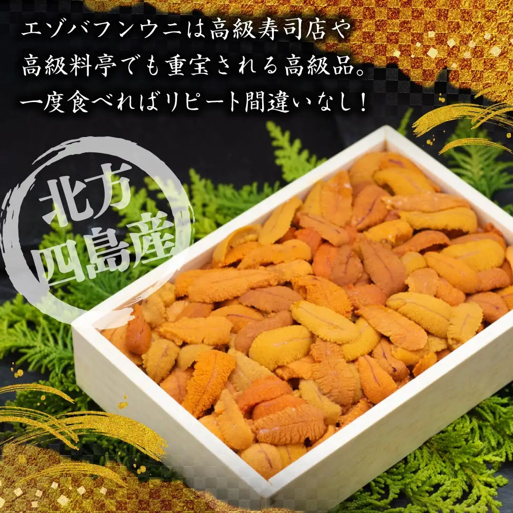 えぞバフンうに折150g×2 【鮮度抜群！極上生えぞバフンうに】 ふるさと納税 うに F4F-0698