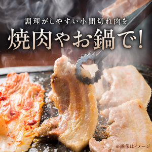 北川産イノシシ肉 N009-YZA590