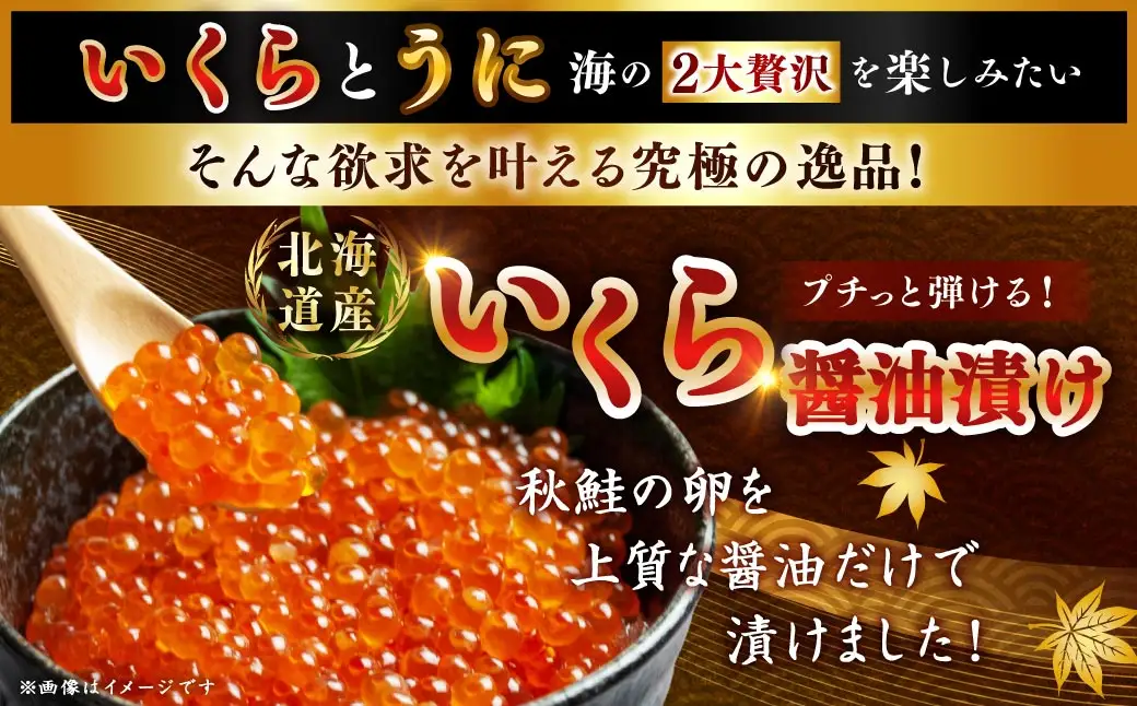 えぞバフンうに折150g×1 いくら醤油漬け90g×1 北海道 釧路 ふるさと納税 うに いくら 雲丹 魚卵 魚介類 海産物 セット 詰合せ 詰め合わせ F4F-8830