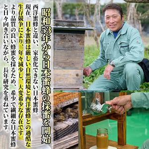 ＜数量限定＞幻の蜂蜜（1本・260g） ハチミツ 蜂蜜 日本蜜蜂 ハニー 国産 日本ミツバチ 非加熱 純粋 【YH-1】【安田蜂蜜】