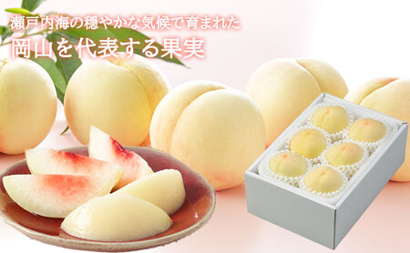 桃 2026年 先行予約 岡山 白桃 ロイヤル 4～8玉 1.2kg 岡山